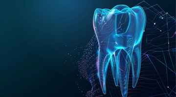 Teeth